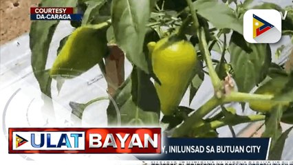 Duterte Legacy: Urban Agriculture facility, inilunsad sa Butuan City