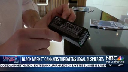 Black Market Cannabis Threatens Legal Businesses