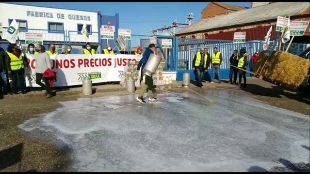 Ganaderos de UCCL derraman la leche a las puertas de Lactalis en Zamora