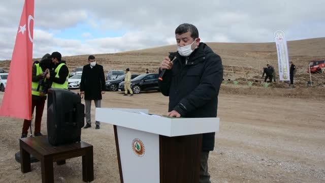 Milli Ağaçlandırma Günü nde fidanlar toprakla buluşturuldu