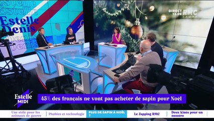 45% des Français ne vont pas acheter de sapin pour Noël - 11/11