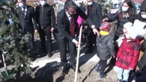 Pursaklar Belediyesi 1111 ağacı toprakla buluşturdu