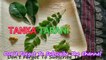 Tanka Tarani Recipe how to make