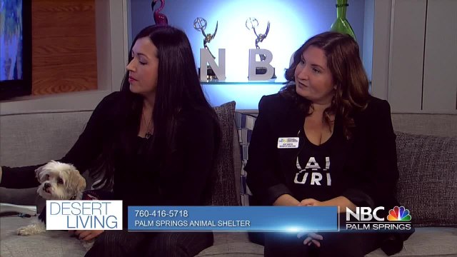 Desert Living 100919