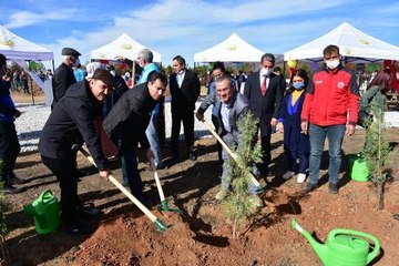 MENTEŞE'DE YANAN ORMANLARA FİDAN DİKİLDİ