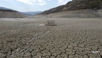 Reservoir dries up as Syria experiences one of its driest years ever