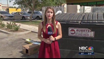 2ND PUPPY ABUSE LAUREN TOSS TO P LUZ LIVE