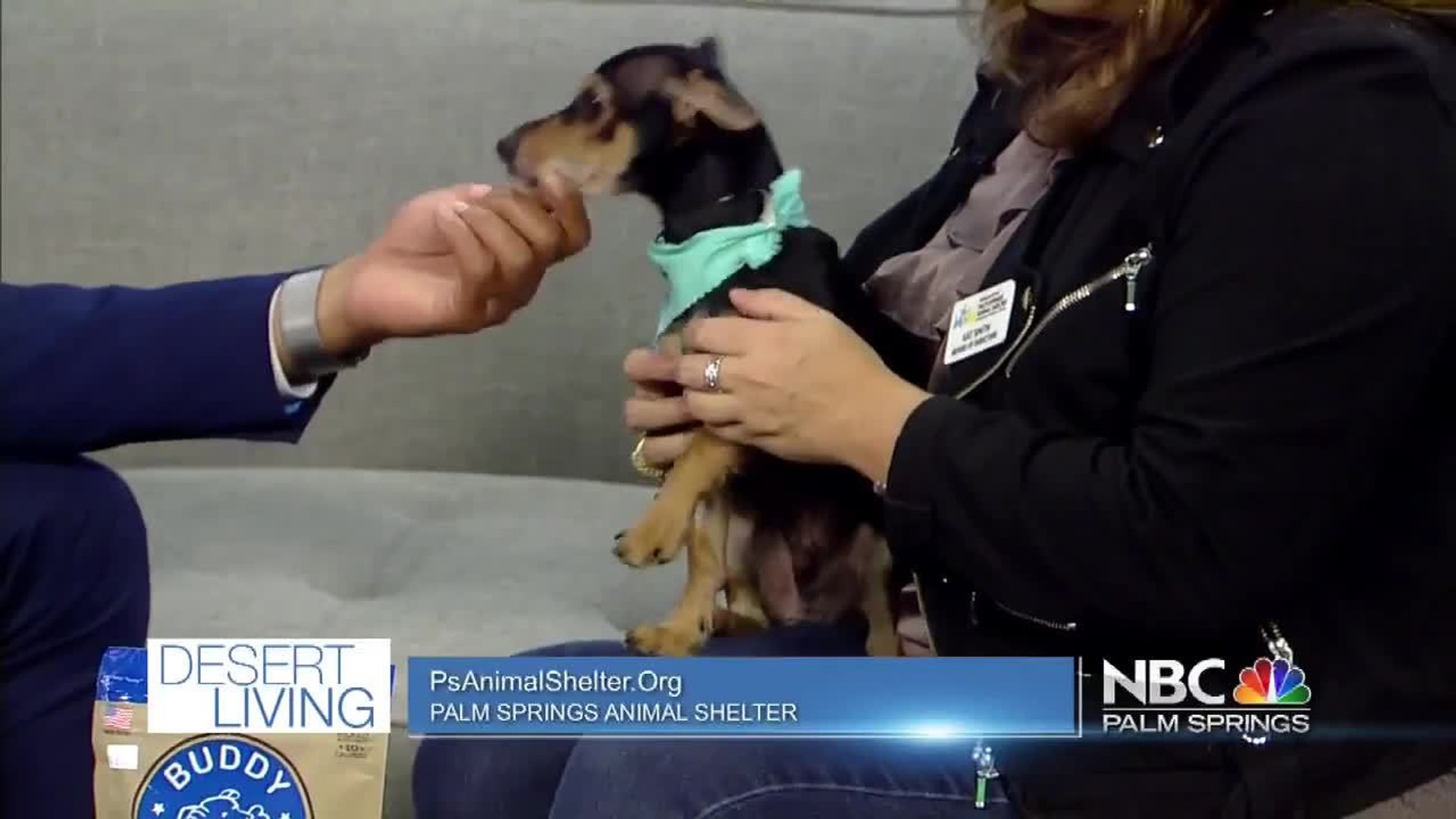 ⁣Desert Living: Palm Springs Animal Shelter