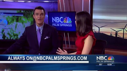 DONUT SHOP KICKER LAUREN