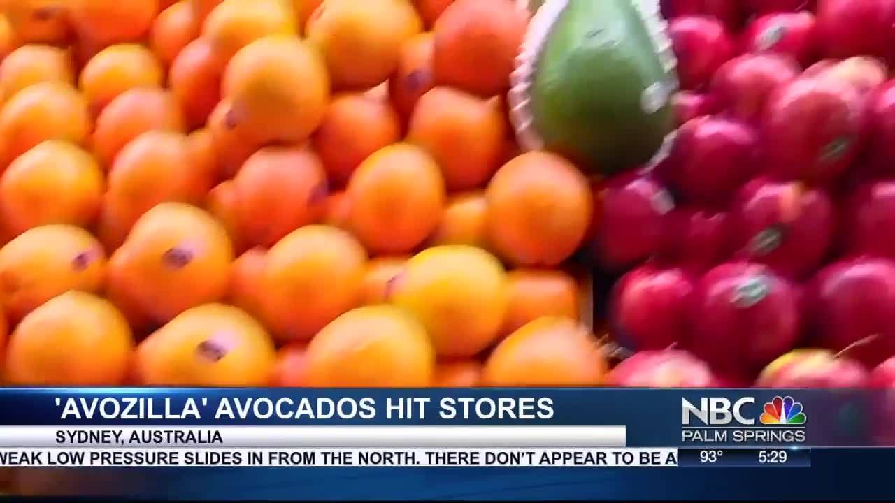 AVOCADO KICKER