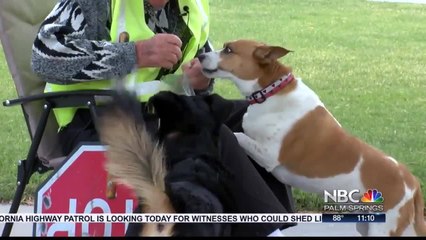 Palm Springs Crossing Guard Still Keeping Kids Safe