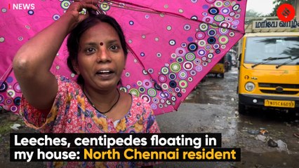 Leeches, centipedes floating in my house: North Chennai resident