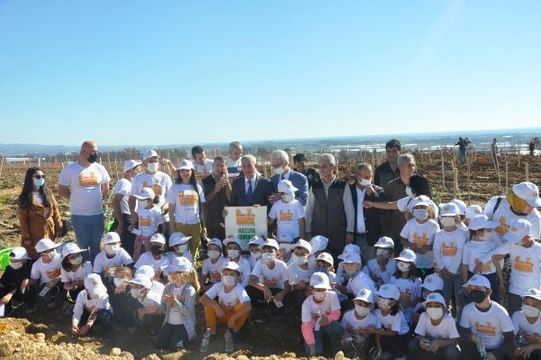 FİDAN DİKİMİ YAPILAN MANAVGAT'TA ORMAN YANGINI - YENİDEN