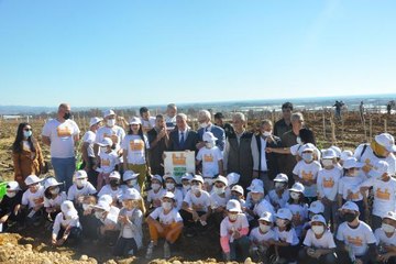 FİDAN DİKİMİ YAPILAN MANAVGAT'TA ORMAN YANGINI - YENİDEN