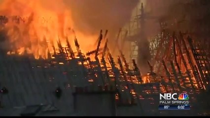 Lauren Notre Dame Coverage