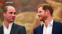 Prince Harry Criticizes Twitter’s Role in Capitol Riots After Prior Warning Email Sent to CEO, Jack Dorsey