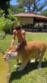Best Funny Animal Videos of the year 2021 funniest animals ever relax with cute animals