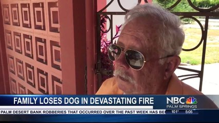 Family Loses Dog In Devastating Fire