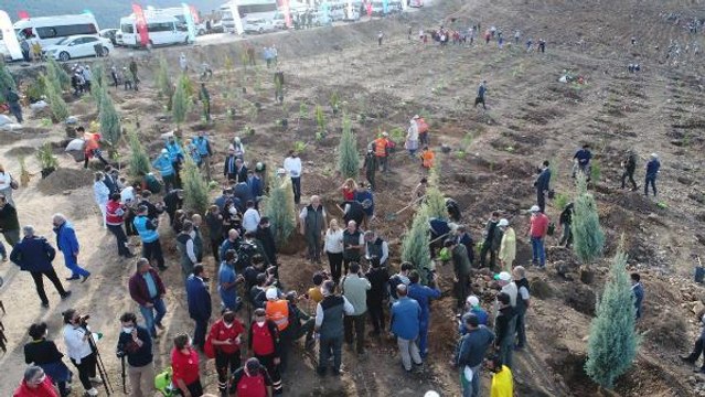 BODRUM'DA YANAN ALANLARA 125 BİN FİDAN