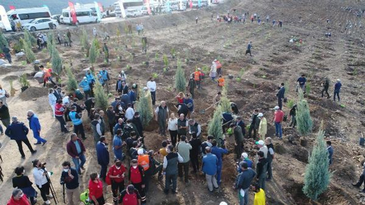 BODRUM'DA YANAN ALANLARA 125 BİN FİDAN