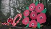 Brockholes Wood Community Primary School host Remembrance Day service