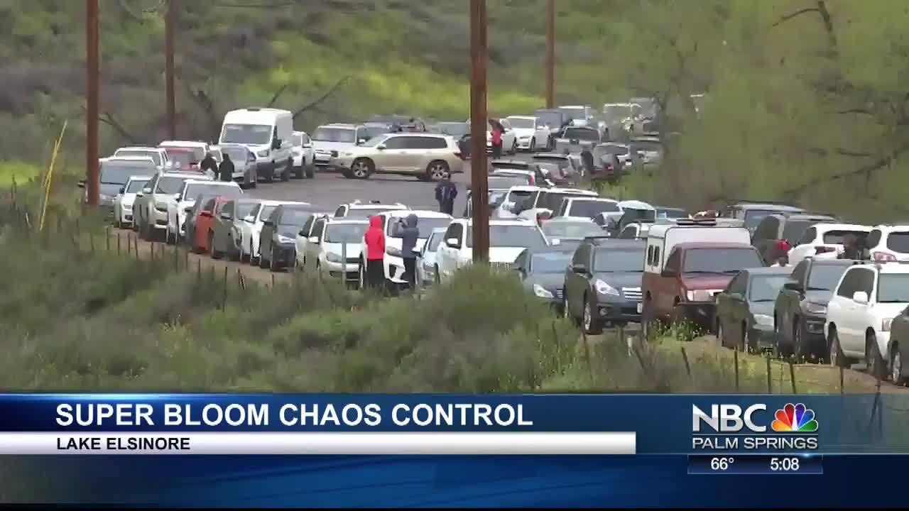 City Under Super Bloom Siege Creates Rules