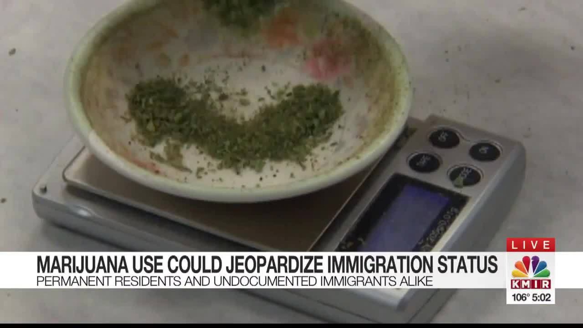 marijuana-use-immigrants