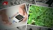 Amazing and powerful health benefits of moringa leaves 