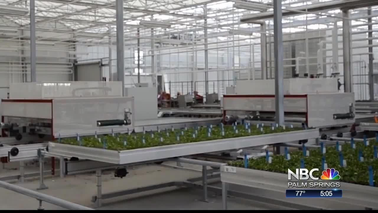 Cathedral City State of the City