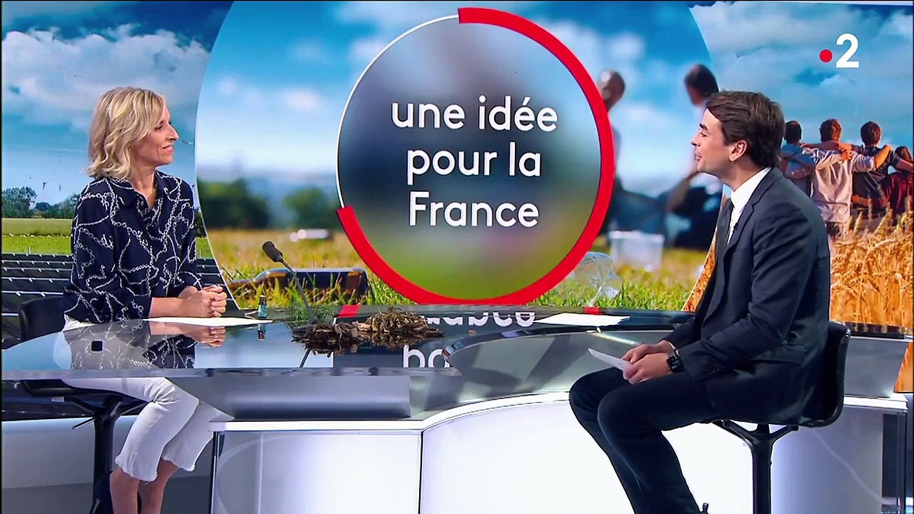 Zéro déchet : dans la Drôme, une entreprise récupère des aiguilles de pin pour en faire de l’huile essentielle