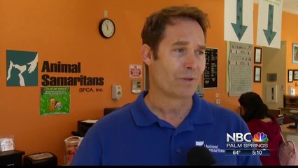 "Puppy Mills" No More