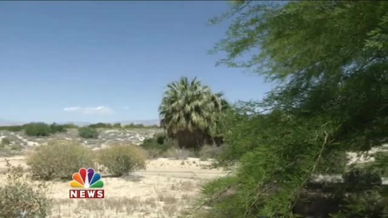 You Ask. We Investigate. Surf Resort in Palm Desert