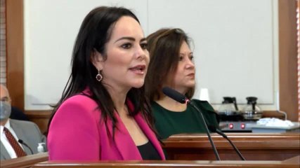 FOX MAYORS BRIDGE.mp4