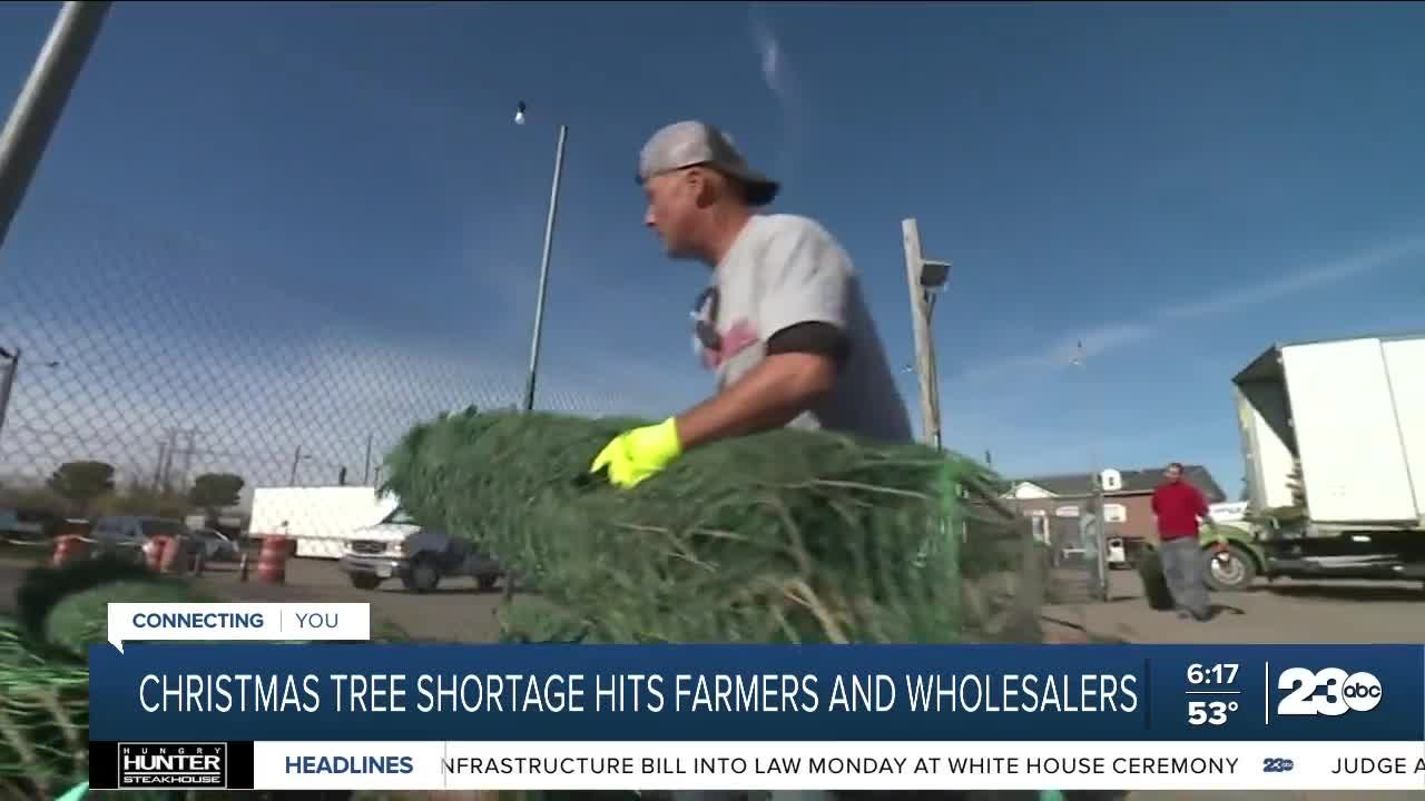 Christmas tree shortage hitting farmers and wholesalers video Dailymotion