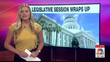 Breaking Down the Bills