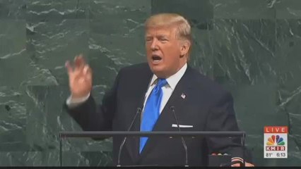 Local Korean Community Hoping for Peace from Trump and Kim Summit