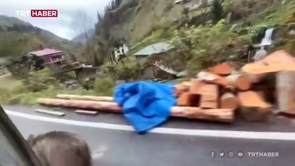 Yavru ayı yola indi, araçlar arasında yürüdü