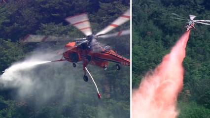 도심 위협하는 산불...수도권 첫 산불 진화 훈련 / YTN