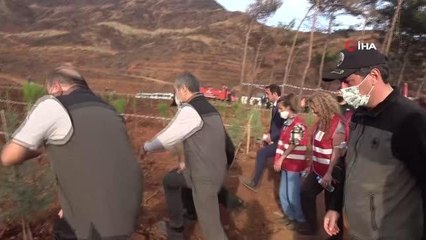 Tarım ve Orman Bakan Yardımcısı Fatih Metin, Marmaris'teki fidan dikme törenine katıldı