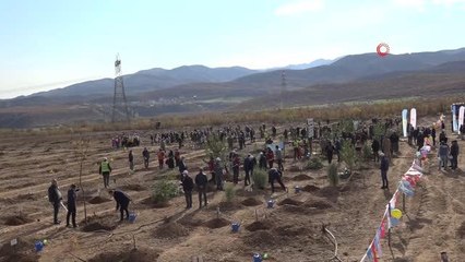 Bingöl'de 40 bin fidan toprakla buluşturuldu