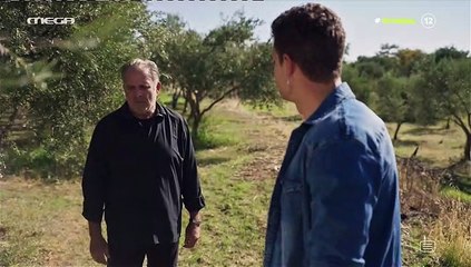 Η Γη της Ελιάς: Στάθης - Στέφανος