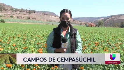 Noticias San Diego 6pm 101221 - Clip CEMPAZUCHITL