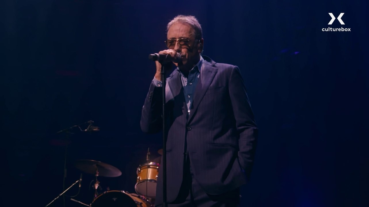 Alain Chamfort_ Immortel Bashung