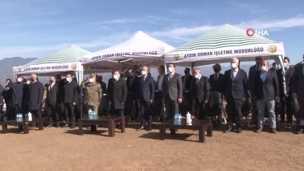 Aydın'da 8 milyon fidan toprakla buluştu