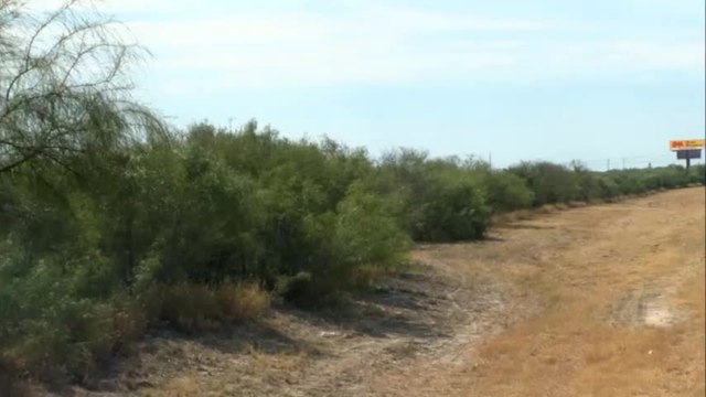 COVES WINFIELD FOX.mp4