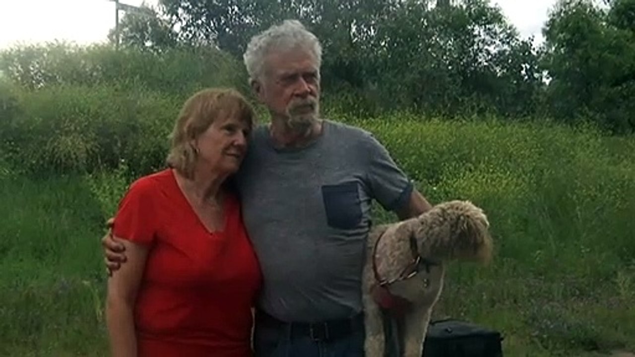 Flash flooding impacts residents and farmers across NSW