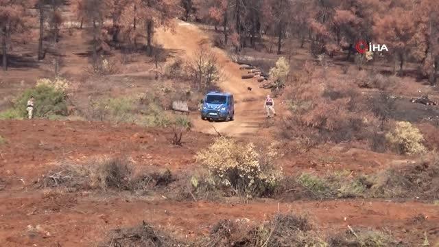 Demirciler Köyü ormanlık alanında fidanlar toprakla buluştu