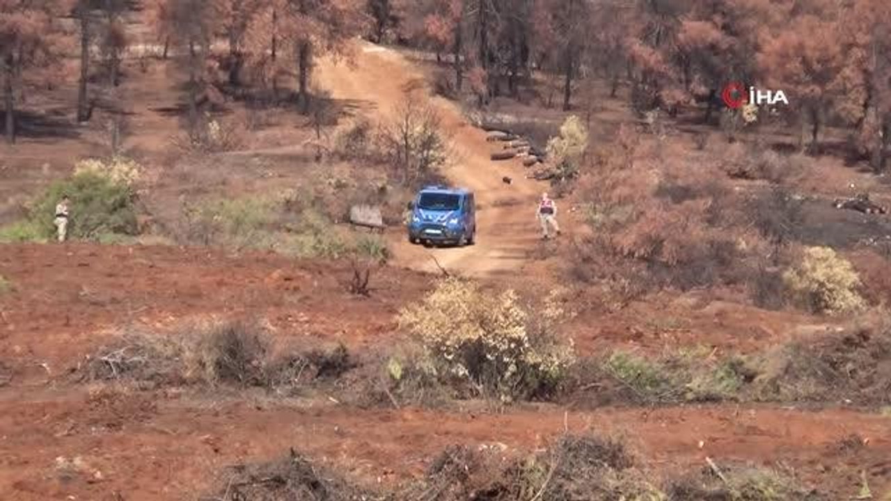 Demirciler Köyü ormanlık alanında fidanlar toprakla buluştu