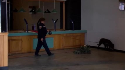 K9 DEATH PKG.mp4