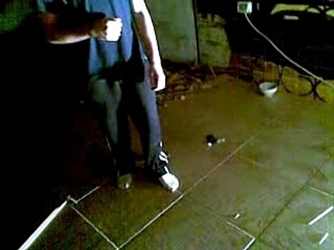 david casse planche de bois